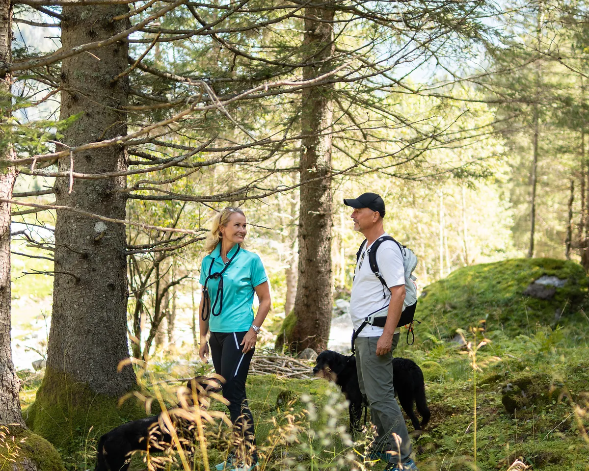 Wandern mit Hund Bad Gastein zwei Hunde auf dem Weg zu den Astenalmen